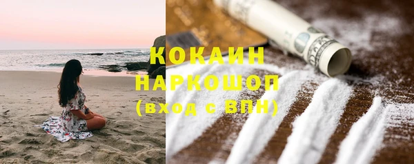 индика Баксан
