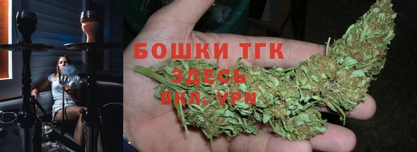 индика Баксан