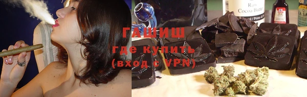 индика Баксан