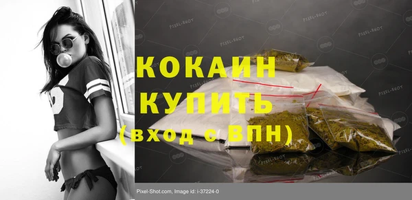 индика Баксан