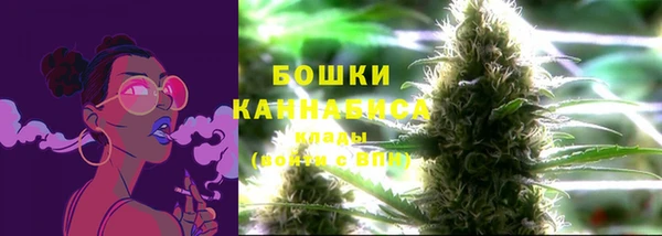 индика Баксан