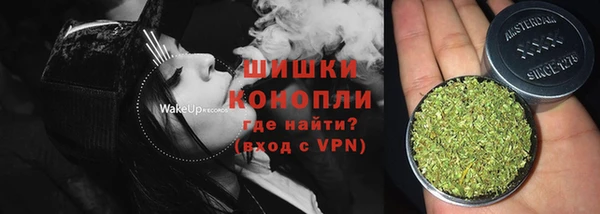 индика Баксан