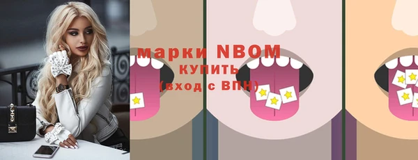 индика Баксан