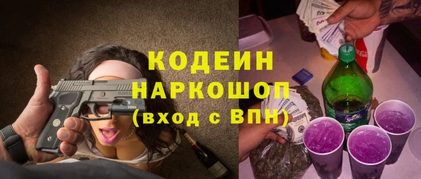 индика Баксан