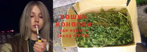 индика Баксан